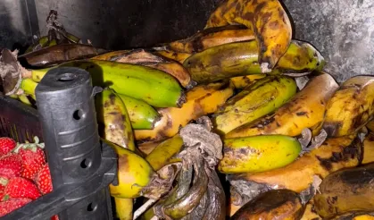 Şanlıurfa'da gıda denetiminde 189 bin TL ceza