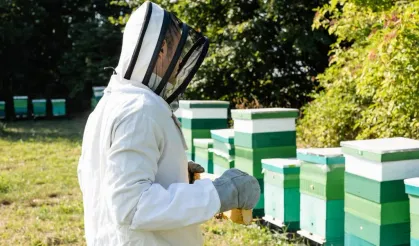 Edirne Keşan’da organik arıcılık kursu başladı