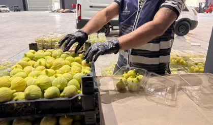 İzmir’de taze incirler ihtiyaç sahiplerine ulaştırıldı