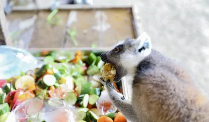 Mersin Tarsus Doğa Parkı’nda yaz tedbirleri