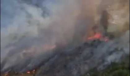 Muğla Seydikemer'de orman yangını