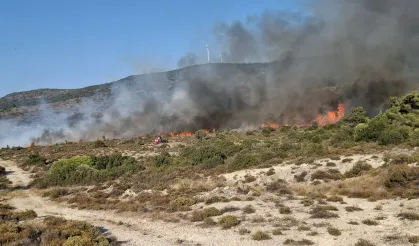 Urla yangını kontrol altına alındı