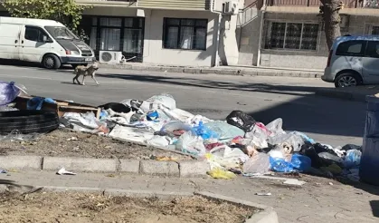 İzmir Buca’da çöp krizi! Mahalleler çöplüğe döndü, vatandaşlar isyanda