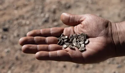 İzmir'de eller toprakla buluştu