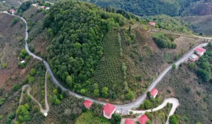 Ünye Pelitliyatak’ta mutlu son!