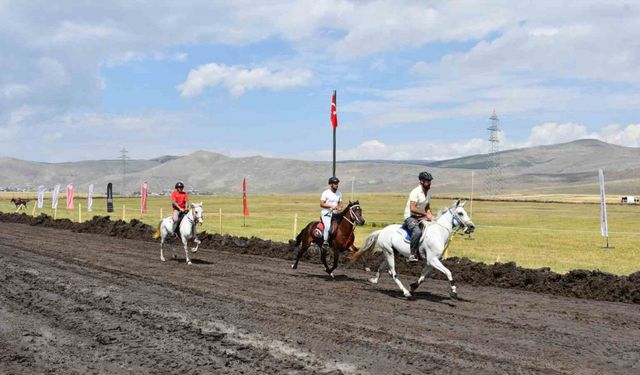 Ardahan’da Rahvan Atları Yarışları’nda final heyecanı