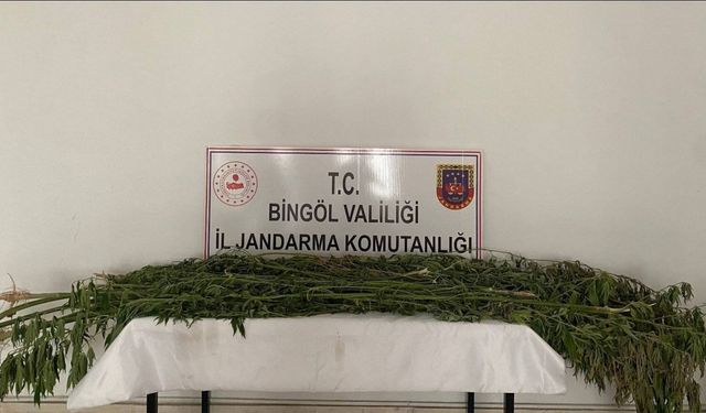 Bingöl’de uyuşturucu madde ele geçirildi