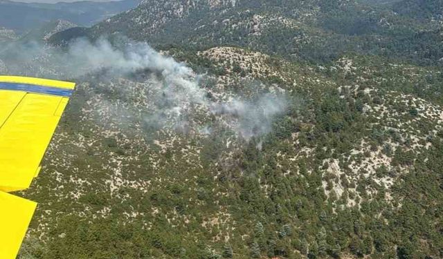 Burdur’da yıldırım düşmesi sonucu çıkan orman yangını söndürüldü