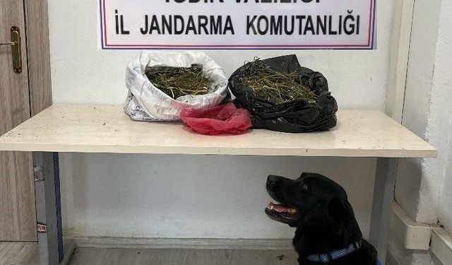 Iğdır’da 22,5 kilogram kubar esrar ele geçirildi