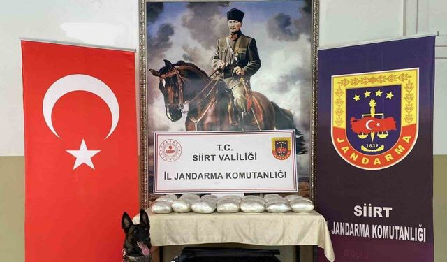 Siirt’te yolcu otobüsüne emanet olarak verilen valizden 40 kilo esrar çıktı