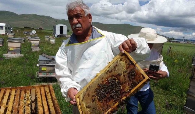 Ardahan Arıcılar Birliği’nden tüketicilere ucuz bal uyarısı