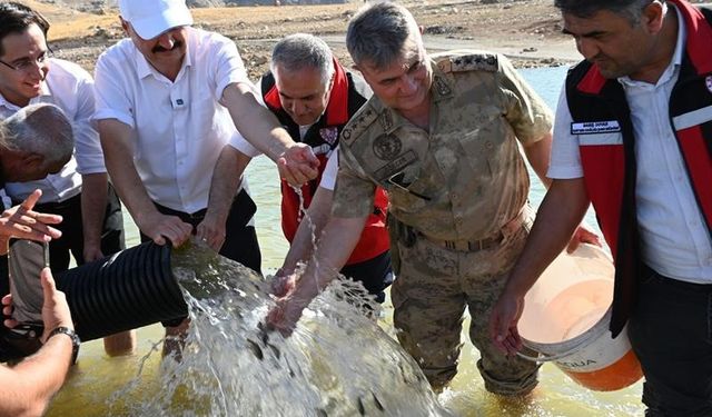 Batman’da baraj göllerine 2 milyon yavru sazan balığı bırakıldı