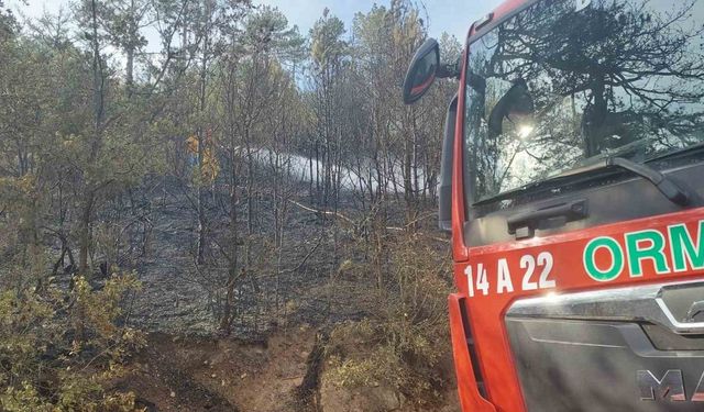 Bolu’da orman yangını kontrol altına alındı