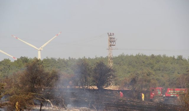 Çanakkale’de tarım arazisinde yangın