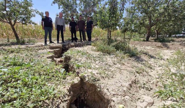 Elma bahçesinde oluşan 100 metrelik yarık korkuttu