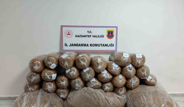 Gaziantep’te 500 kilo kaçak tütün ele geçirildi