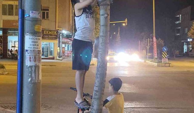 İki çocuk yavru kediyi kurtarmak için seferber oldu