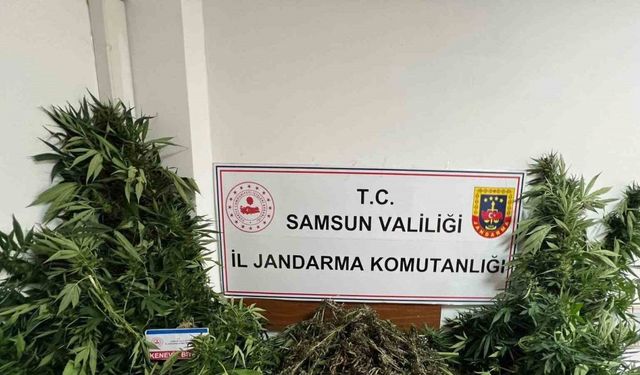 Jandarma 7 kilo kubar esrar ele geçirdi