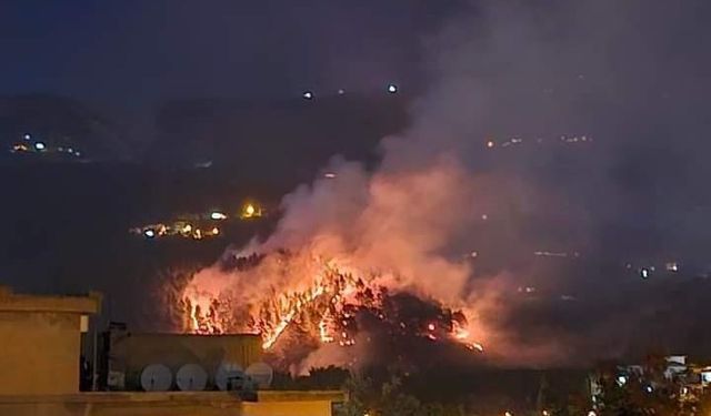 Kahramanmaraş’ta orman yangını