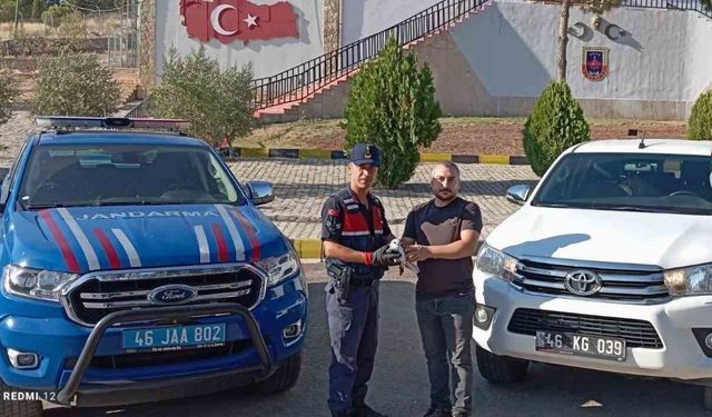 Kahramanmaraş‘ta yaralı atmaca tedavi altına alındı