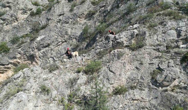 Kayalıkta mahsur kalan köpeği itfaiye ekibi kurtardı