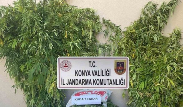 Konya’da jandarmadan uyuşturucu operasyonu: 2 gözaltı