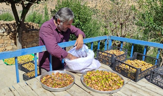 Uzun kış gecelerinde tüketmek için meyveler damlarda kurutuluyor