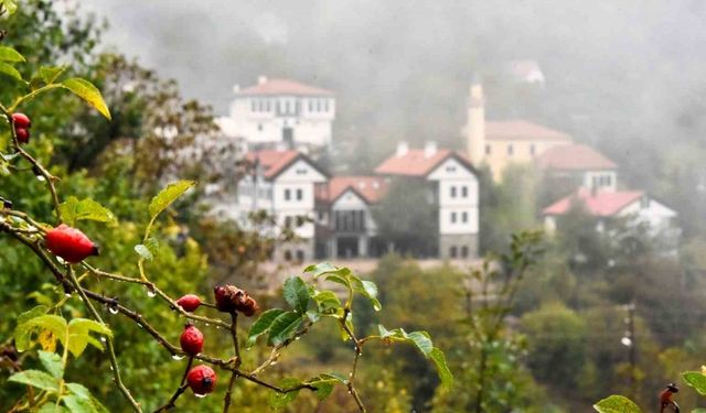 Tarihi Süleymaniye Mahallesi’nde sisli sonbahar güzelliği