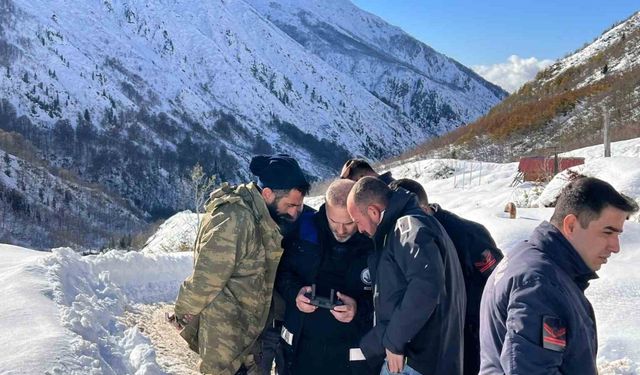 Ayı saldırdığı için ahırdan kaçan sürü 20 gündür Rize’nin karlı dağlarında aranıyor