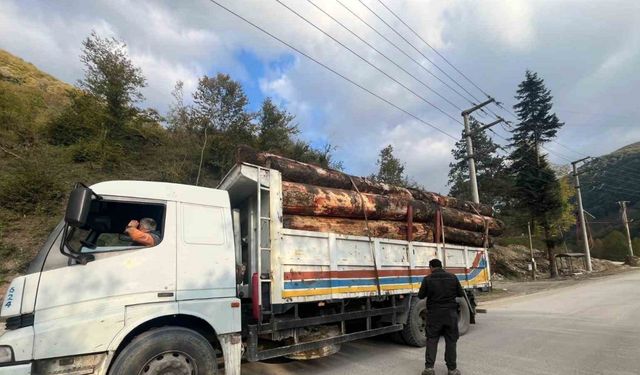 Bolu’da kaçak odun dolu kamyonlar yakalandı