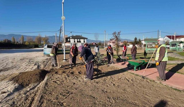 Bolu’da parklara kadın eli değdi