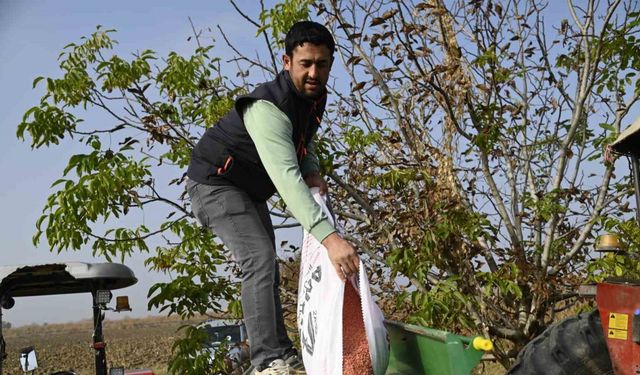 Büyükşehirin tohumları toprakla buluştu