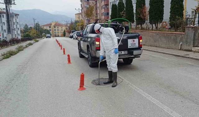 Rögarlarda ilaçlama çalışması yapıldı