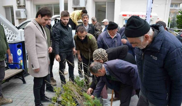 Türkeli’de vatandaşlara ücretsiz fidan dağıtıldı