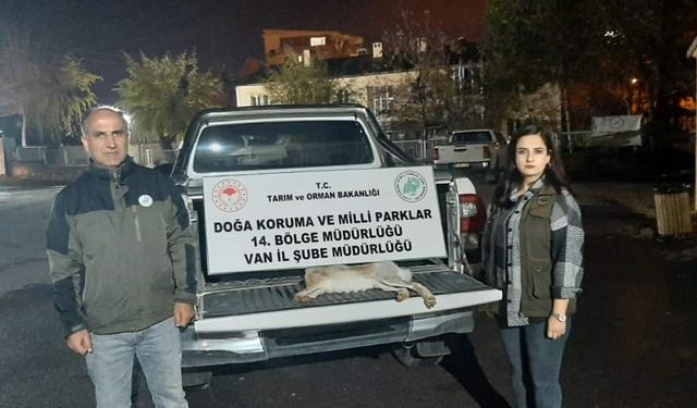 Van’da yasadışı avlanan şahsa 11 bin lira caza