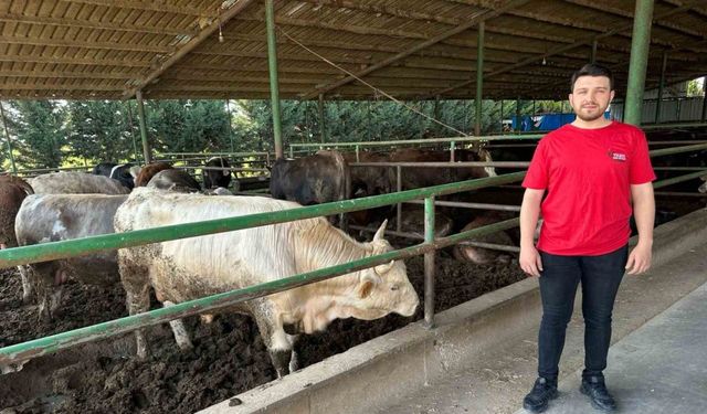 Kurbanlık fiyatlarında geçen yıla oranla büyük değişiklik yok