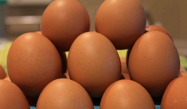 Yumurtada fiyatlar düşünce ihracatta fon kesintisinin kaldırılması istendi