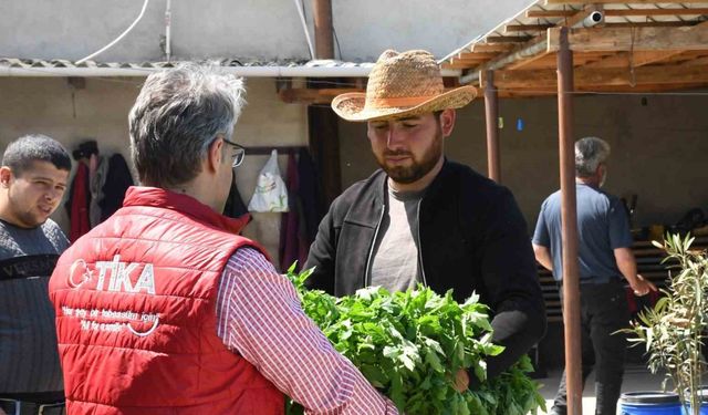 Azerbaycan’da sel mağduru çiftçilerin yüzü TİKA ile güldü