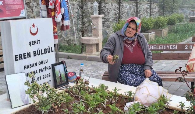 Eren Bülbül’ün annesi Ayşe Bülbül, PKK’nın silah bırakmasını değerlendirdi: "Eren’ler şehit edilmesin, hiçbir Ayşe anne ağlamasın diye onay veririm"