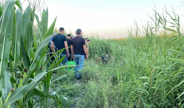 Adana’da sazlıklar arasında bir kişi ölü bulundu