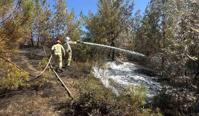 Adana’daki orman yangını kontrol altına alındı