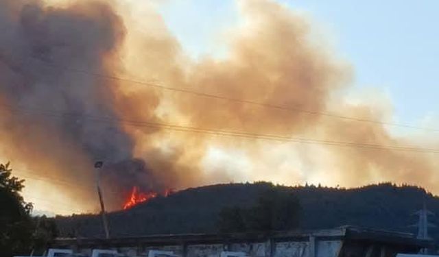 Aliağa’daki orman yangıyla ilgili 1 kişi tutuklandı