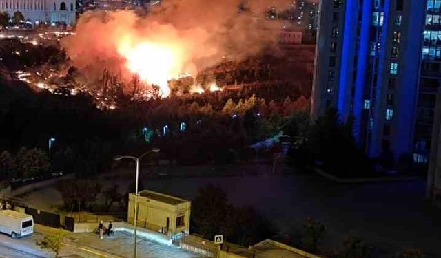 Ankara’daki arazi yangını söndürüldü