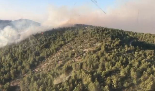 Antalya Gazipaşa’da orman yangını