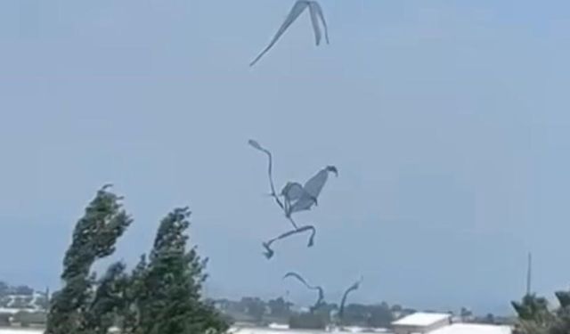 Antalya’da hortum seralara zarar verdi