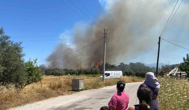 Antalya’da ormanlık alanda yangın