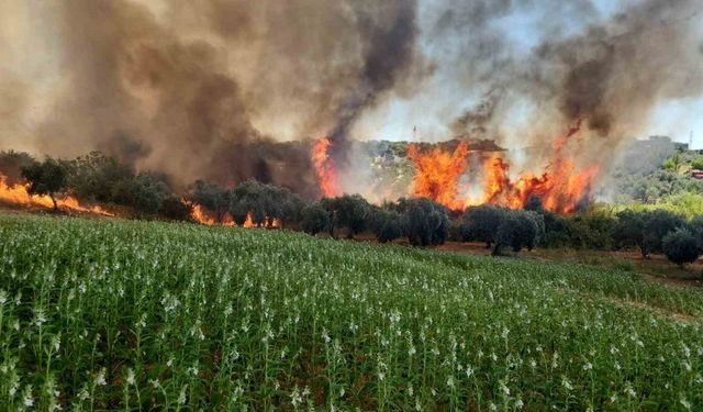 Antalya’da ormanlık ve kırsal alanda çıkan yangın kontrol altına alındı