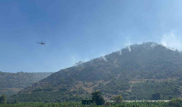 Antalya’daki orman yangını 3 saatte kontrol altına alındı