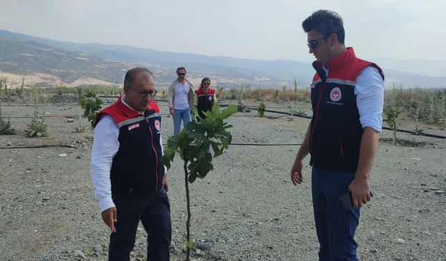 Aydın’da incir üretimine kalite katacak proje denetlendi