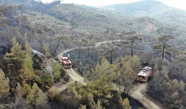 Balıkesir Havran’daki yangında havadan müdahale sabahın ilk ışıklarıyla tekrar başladı